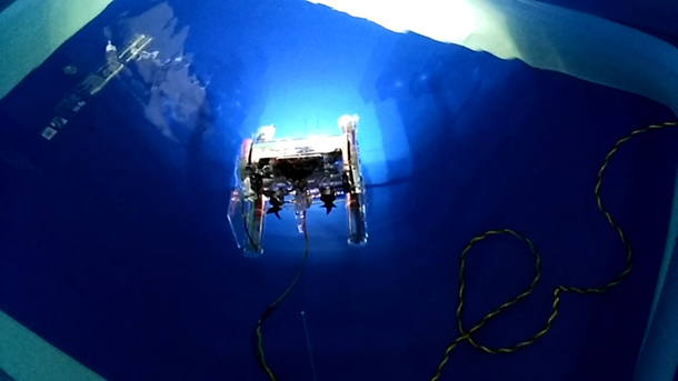 1476104343245281.jpg 3.jpg