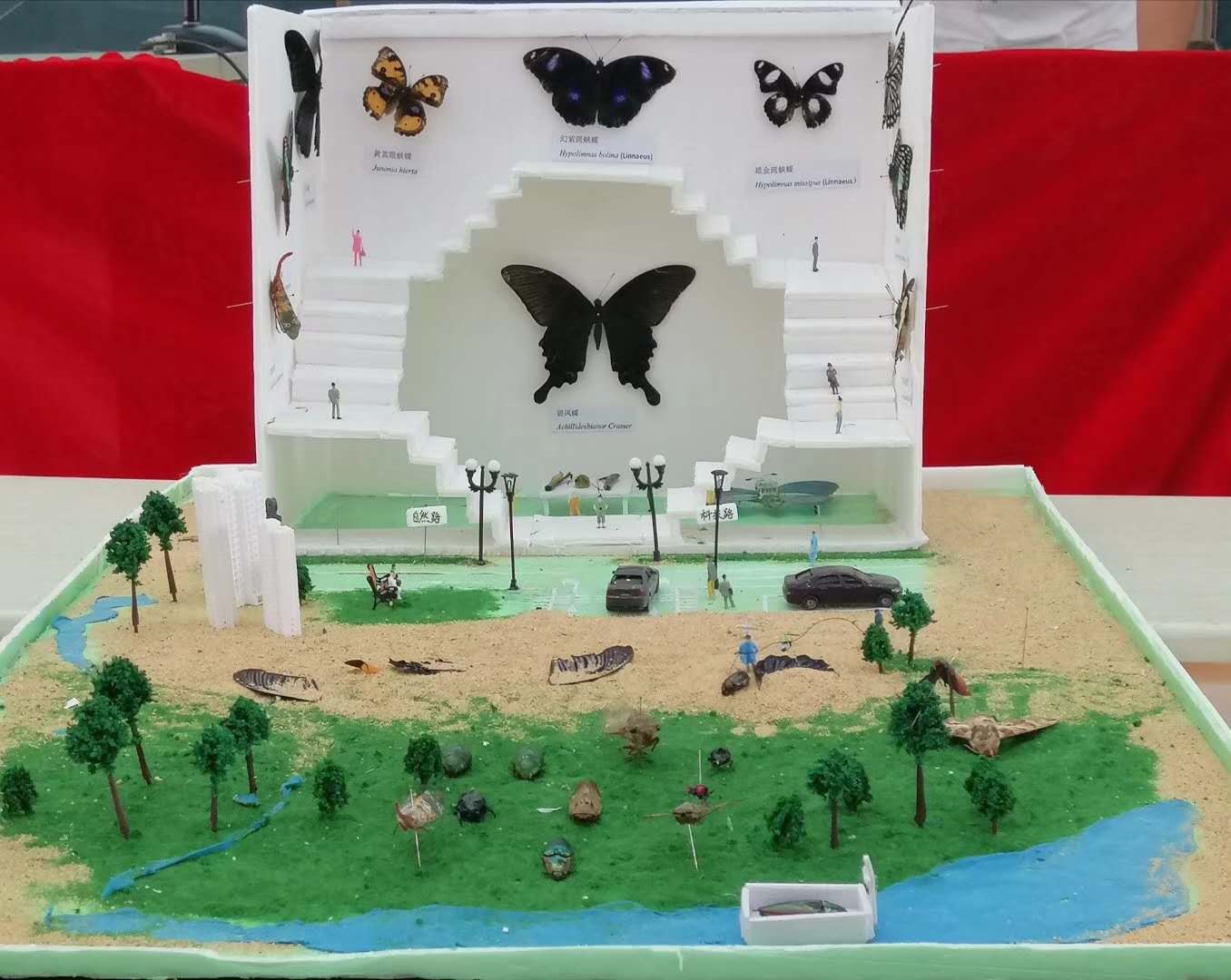 昆虫微景观制作一等奖作品《审判》.jpg